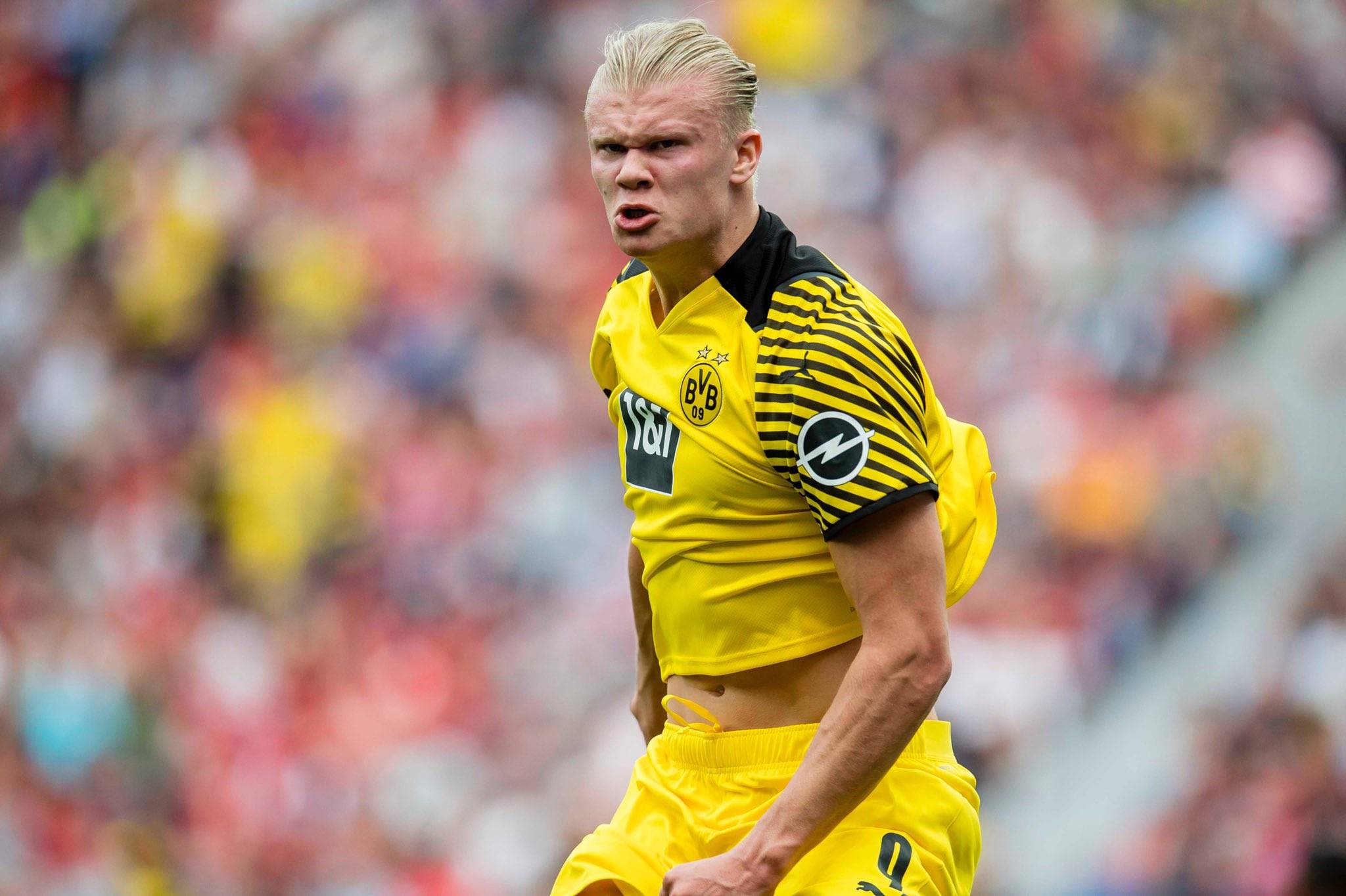 五大联赛各一队跻身欧冠积分榜前五（五大联赛各有一队位列欧冠积分榜前五）